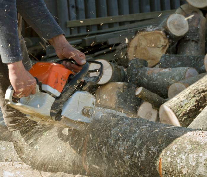 get a tree removal estimate in Taunton