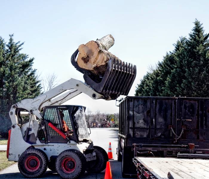 Using a bulldozer for tree removal in Taunton.