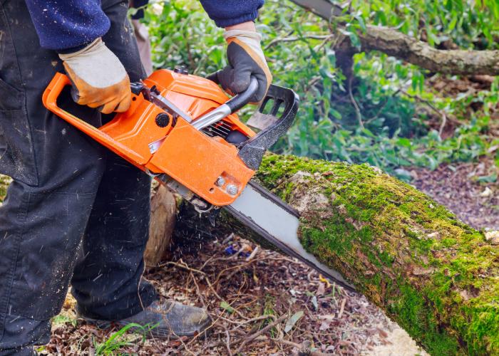 A contractor cutting for fallen tree removal.